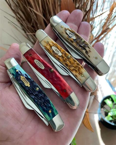 most expensive case knife